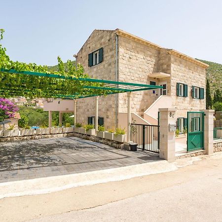 Villa Petmat - With Private Pool And 6 Bedrooms 杜布罗夫尼克 外观 照片